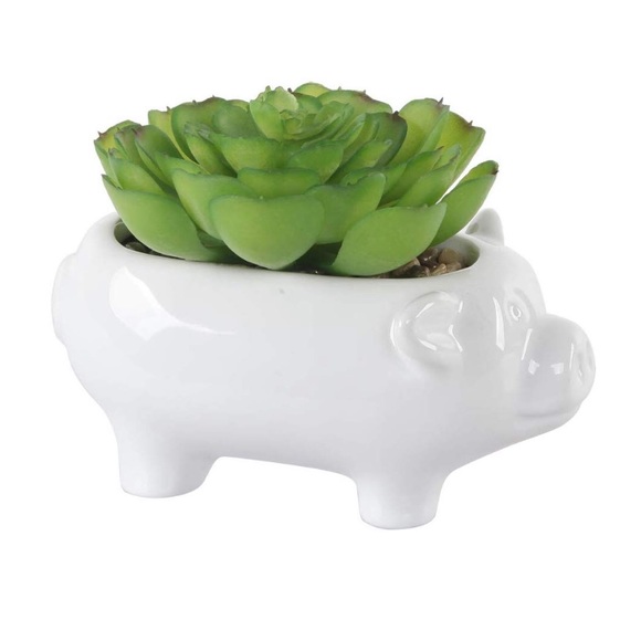 Marshalls Other - Marshalls • Ceramic White Pig Succulent Planter